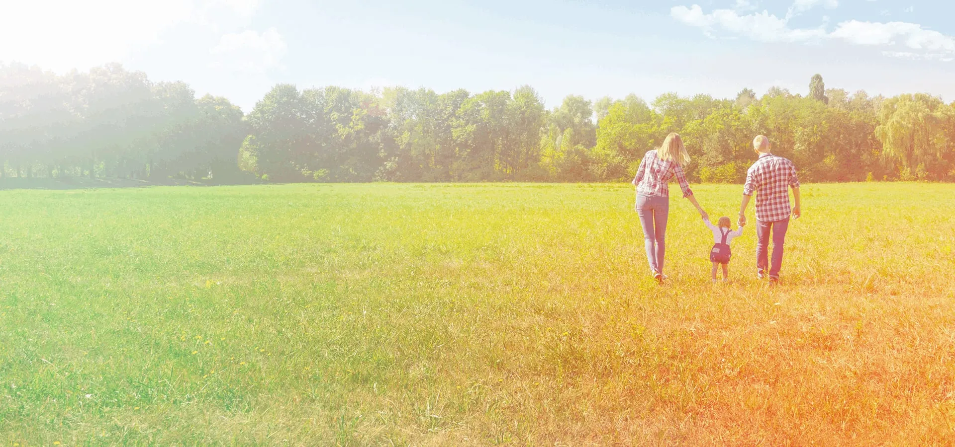 A family walking hand in hand across a sunlit field